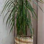 Family For 8 People With Parking, Balcony And 2 Bathrooms By Renters *