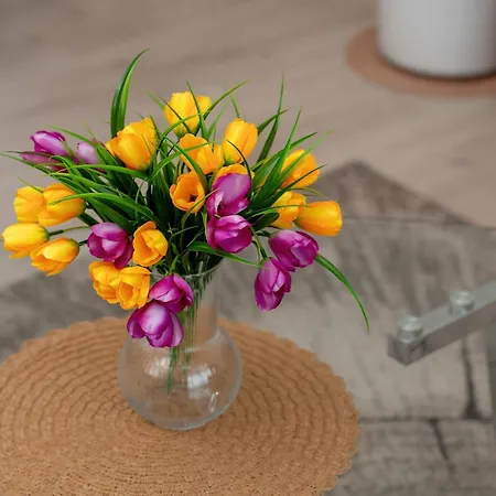 Family For 8 People With Parking, Balcony And 2 Bathrooms By Renters 公寓