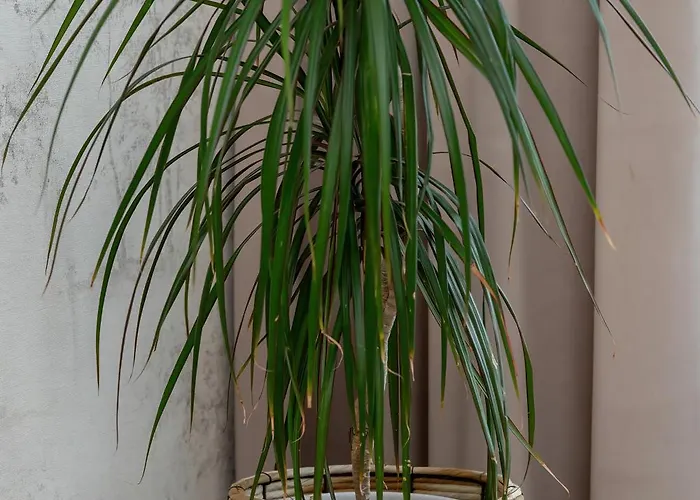 Family For 8 People With Parking, Balcony And 2 Bathrooms By Renters *